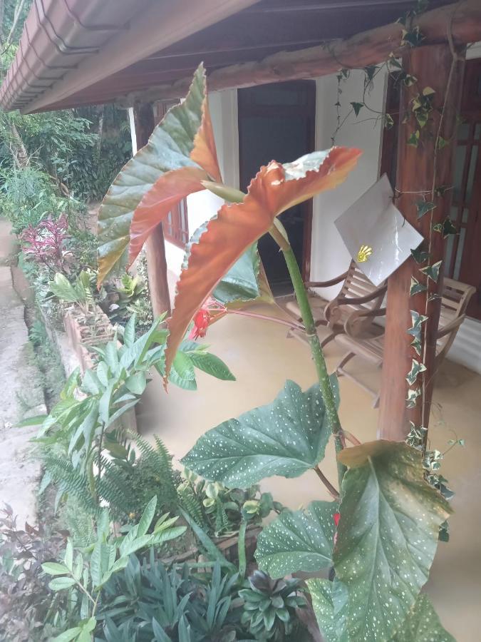Supipi Homestay Ella Buitenkant foto