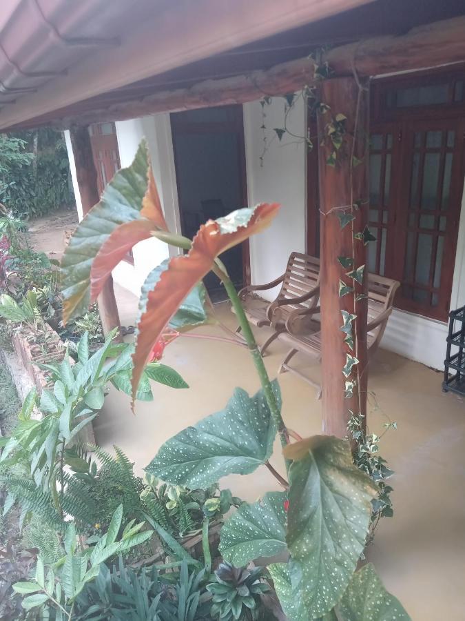 Supipi Homestay Ella Buitenkant foto