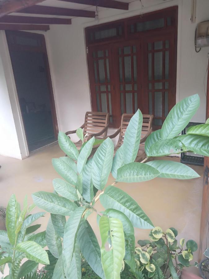 Supipi Homestay Ella Buitenkant foto